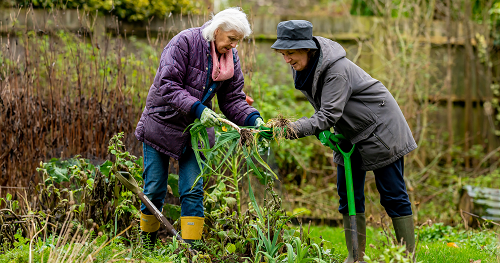 Promoción del envejecimiento activo para la prevención de las demencias. Estrategia Valencia de Envejecimiento Activo y Lucha Contra la Soledad no Deseada