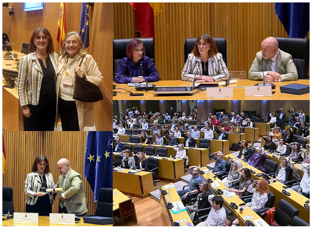 Collage fotos jornada.